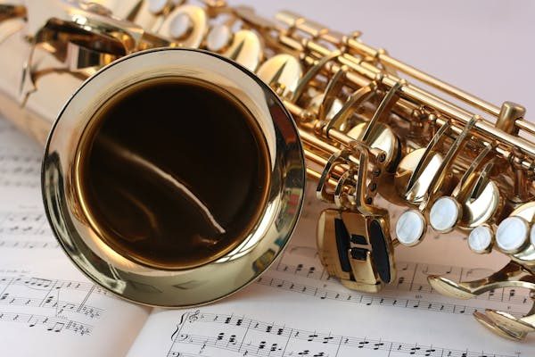 Les gros cuivres : votre guide des tubas et sousaphones.